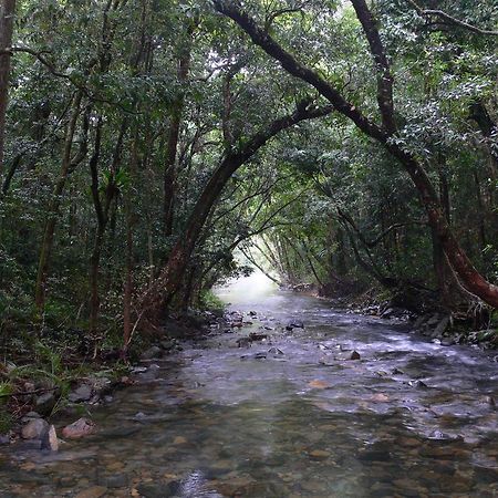Heritage Lodge In The Daintree Cape Tribulation Exterior foto