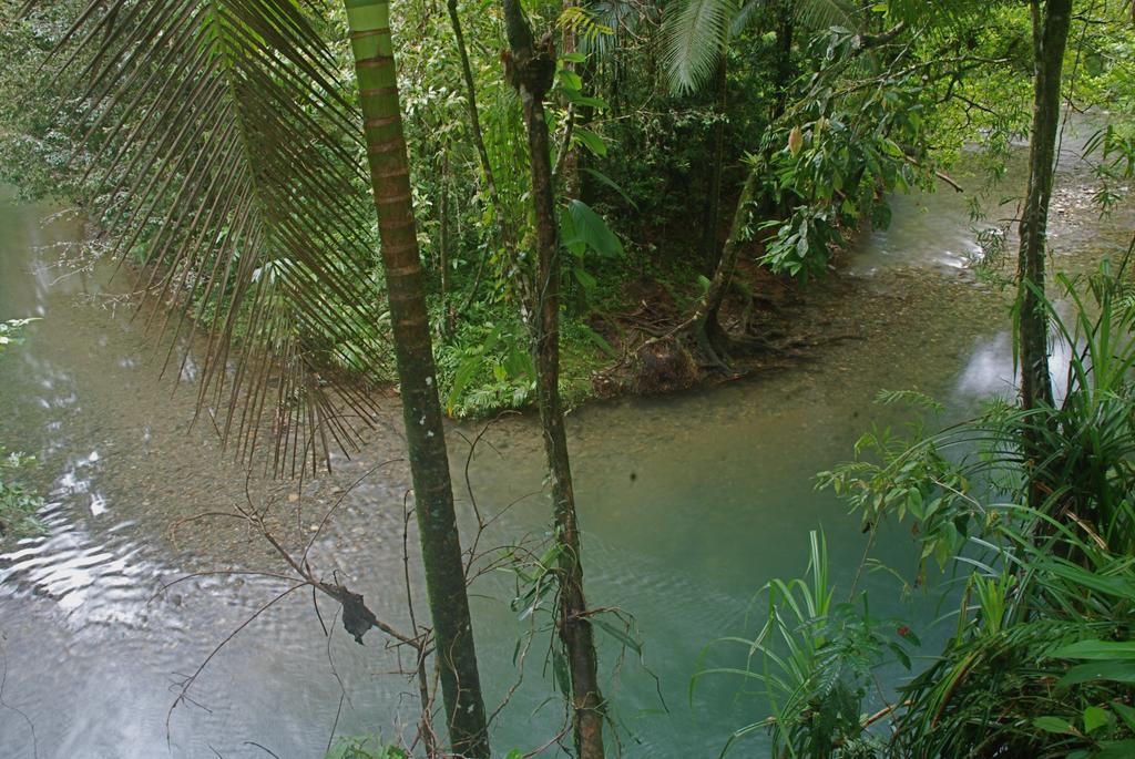 Heritage Lodge In The Daintree Cape Tribulation Exterior foto
