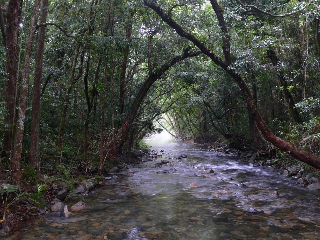 Heritage Lodge In The Daintree Cape Tribulation Exterior foto